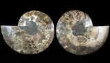 Cut/Polished Ammonite Pair - Agatized #47686-1